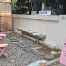 젤라잇(Gela, eat) 이미지