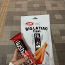 🇵🇭0316 D+1 학기 중 필리핀 마닐라 자유여행을 떠나다! (졸리비/eSIM/마이심/SM몰오브아시아/맛집)