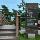 진도포차 이미지
