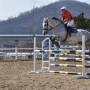 인천승마공원 이미지