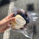 민주댕이 | 장마가 시작된다던데