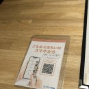 “다시 한번, 여행을 가겠습니다” | 요나고 요괴마을 여행 + 사카이미나토 맛집 카니지만｜요나고 공항 출국 팁까지