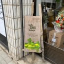 문경읍 토밥 맛집 &#39;카페 선일&#39; 레트로 카페 (feat. 도나쓰, 소금빵, 짭쪼롬 라떼, 에이드) 내돈내산...