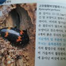 쇠재공원 이미지