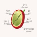 커피101 이미지