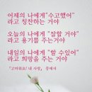 백현숙의어성초사랑