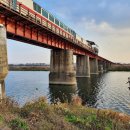 비비정예술열차 이미지