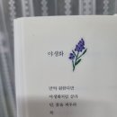 보다나까페