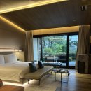 포레스트878 | 제주 앰버퓨어힐 호텔 & 리조트 신관 포레스트 더블 힐 숙박 후기