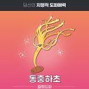 도화 이미지