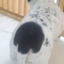 미용하고 가개 이미지