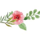 웃는 숲 네이버블로그