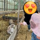 은진농장 | 은진농장 30개월 아기 체험