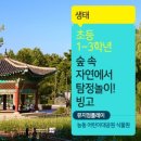 빙고1 이미지