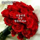 화요일 이미지