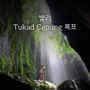 청리오토바이 | 발리자유여행코스 | 인생샷 투카드츠풍 폭포!