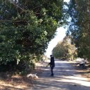 김녕한의원 이미지