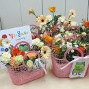 말랑말랑 그림책 테라피 이미지