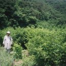 선원농장 이미지