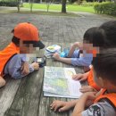 책나무 도서관 | 초등 독서논술 독서토론 독서지도 학원 비교(한우리, 플라톤, 책나무, 리드인)