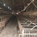 영명농장 이미지