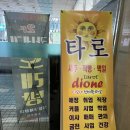 신비프라자 | 김해 타로사주 김해사주 잘보는곳 가족사주 김해타로사주추천 디오네신비한타로 사업운 아기타로사주 후기