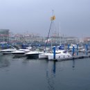 유정민박 이미지