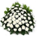 여주-0383 Daum카페