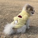 전체이웃안녕하세요