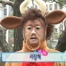 개설렘 이미지