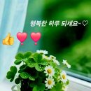 실망감~ 이미지