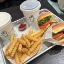 4월 셋째주 기록
