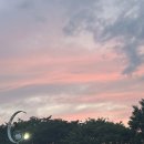 수 그린웨이 이미지