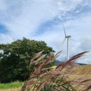 초원의 언덕 이미지