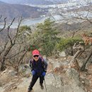 신초롱 Daum카페