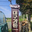 초평붕어마을 | 진천 초평저수지 붕어마을 맛집추천 대구가든 후기
