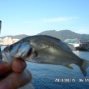 어항단지로 이미지