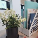 히든공인중개사사무소 이미지