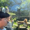 굿프렌즈분식 이미지