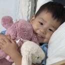 스테이웅 이미지