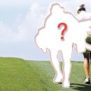 셀프골프 이미지