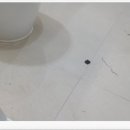 수완1차부영아파트 이미지