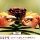갯지렁이 전시관 네이버블로그