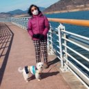 본포생태공원(주차장) 이미지