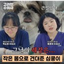 (주)고려메디칼 이미지