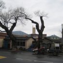 울주 대곡리 반구대 암각화 이미지