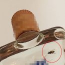 한씨중국식품 매경이코노미