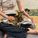 집사의 하루 일산점 이미지