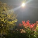 박사장네정육점