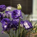 타이트짐 이미지